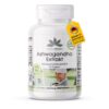 Ashwagandha Extrakt 500mg (Warnke)