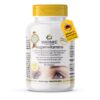 Augenvitamine (Warnke)
