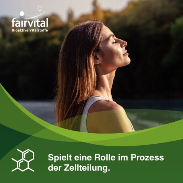 B-12 Aktiv-Komplex 1000µg (fairvital)_3