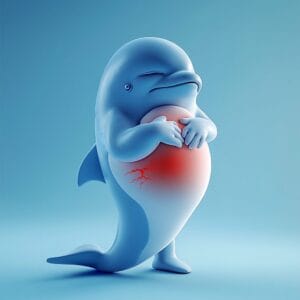 Bauchschmerzen & -Krämpfe Banner