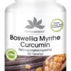 Boswellia Myrrhe Curcumin (Warnke)