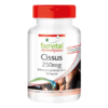 Cissus 250mg (fairvital)