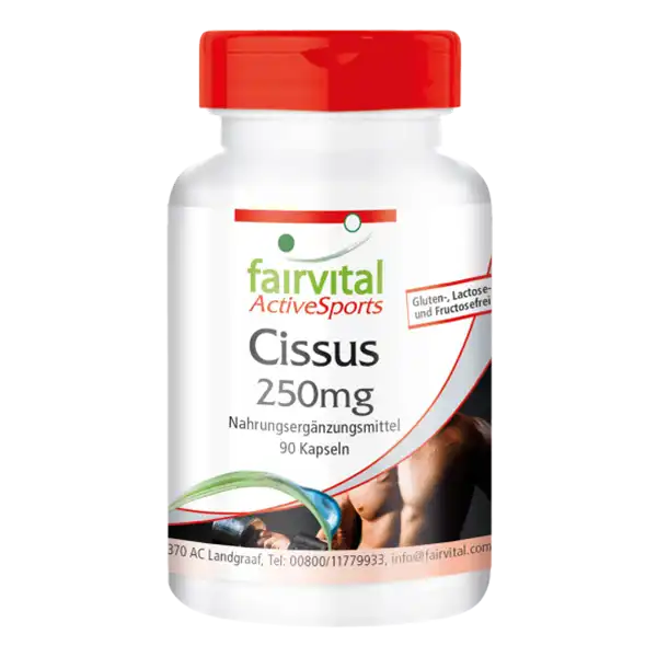 Cissus 250mg (fairvital)