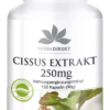 Cissus Extrakt 250mg (Warnke)