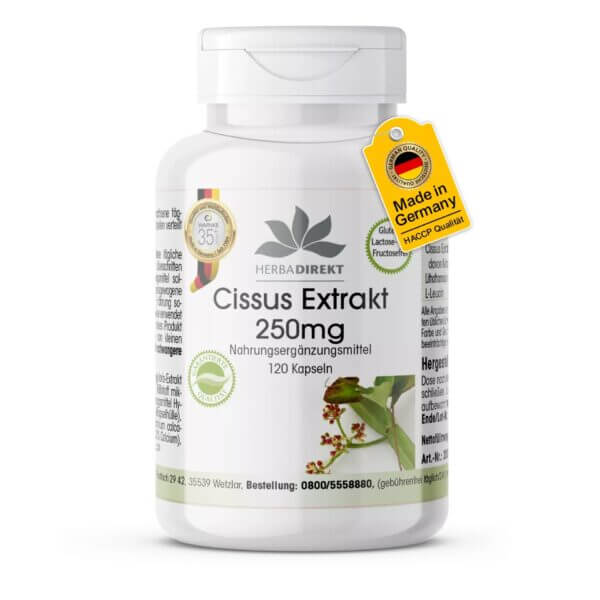 Cissus Extrakt 250mg (Warnke)