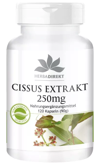 Cissus Extrakt 250mg (Warnke)