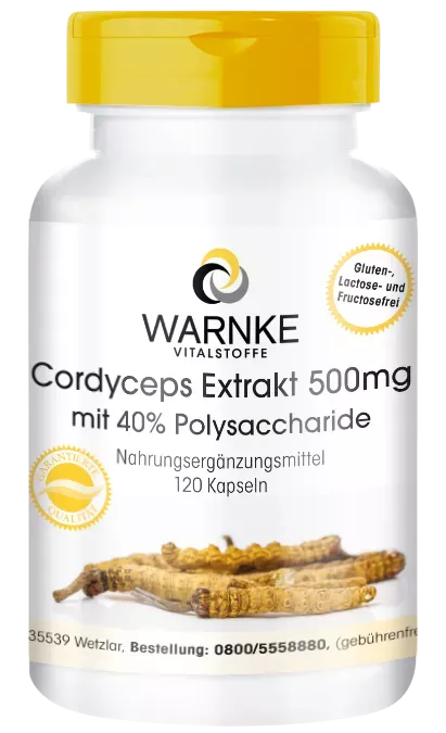 Cordyceps Extrakt 500mg, 40% Polysaccharide (Warnke)