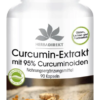Curcumin Extrakt mit 95% Curcuminoiden (Warnke)