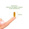 Curcumin Royal (Vitality Nutritionals)_5