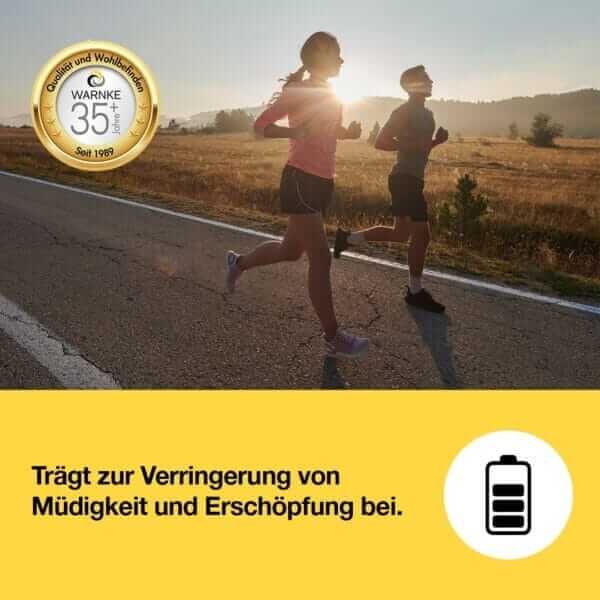 Eisen-Bisglycinat mit Acerola (Warnke) 2