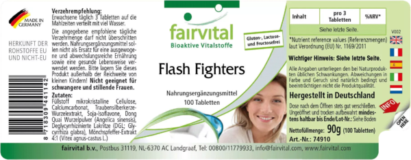 Flash Fighters (fairvital)_deutsch
