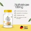 Nattokinase 100mg (Warnke) 1