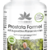 Prostata Formel (Warnke)