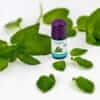 Baldini - Aroma Pfefferminzöl BIO - demeter (TAOASIS)_1