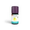 Baldini - Aroma Zitronenöl BIO - demeter (TAOASIS)