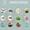 DEFENCE (QIDOSHA)_2