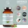 DEFENCE (QIDOSHA)_3