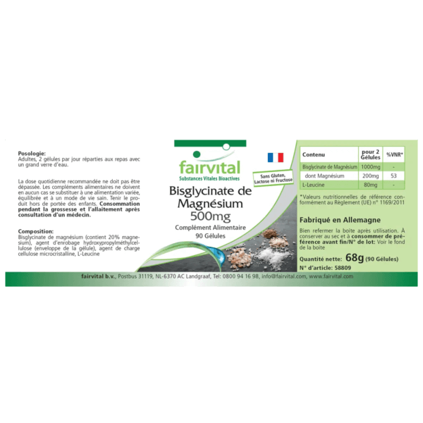 Magnesiumbisglycinat 500mg (fairvital) französisch