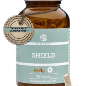 SHIELD (QIDOSHA)