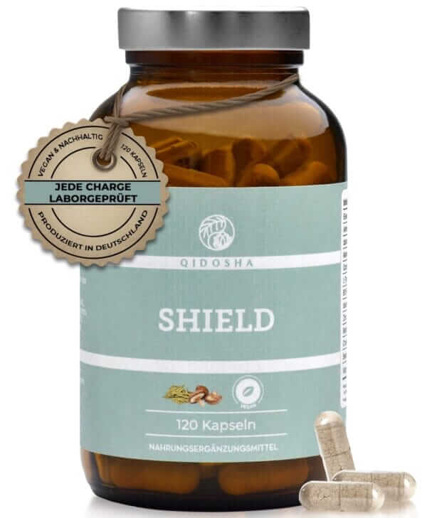 SHIELD (QIDOSHA)
