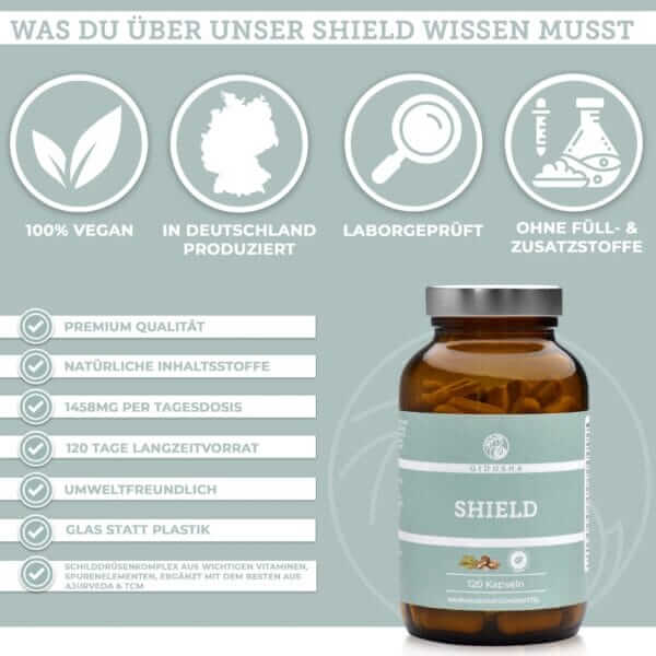 SHIELD (QIDOSHA)_1