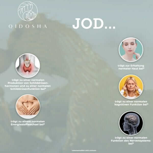 SHIELD (QIDOSHA)_10