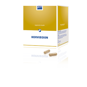 Horvibidon Kapseln (Horvi EnzyMed)