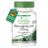 Kalmegh Extrakt 500mg (fairvital)