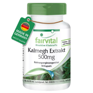 Kalmegh Extrakt 500mg (fairvital)
