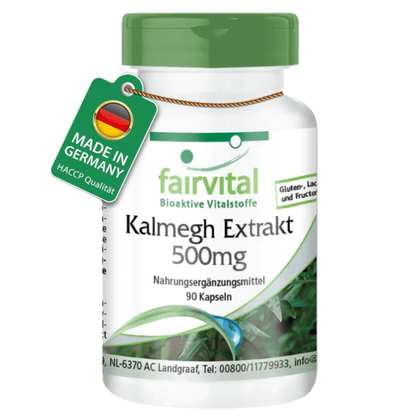 Kalmegh Extrakt 500mg (fairvital)