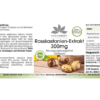 Rosskastanien-Extrakt 300mg (Warnke)_deutsch