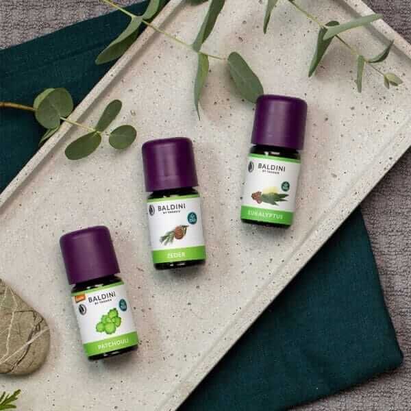 Baldini - Aroma Zederöl BIO (TAOASIS) 1