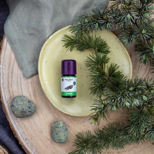 Baldini - Aroma Zederöl BIO (TAOASIS) 2