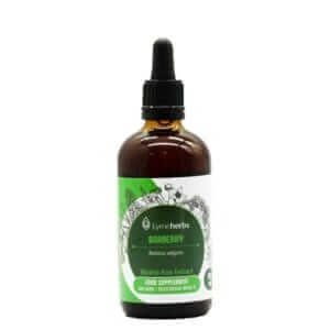 Berberitze alkoholfreier Extrakt (Lymeherbs)