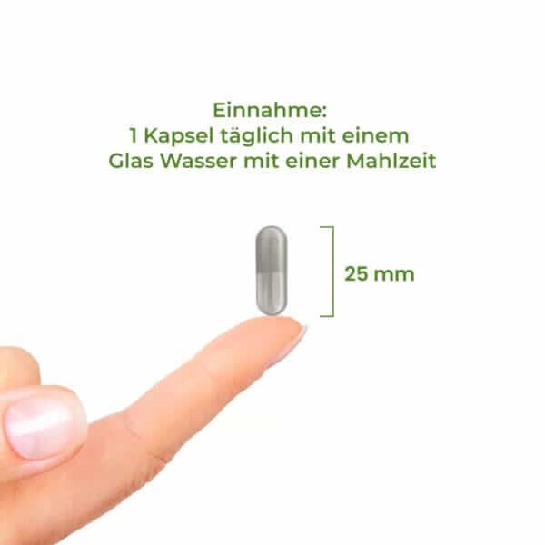 BioActive Vitamin C 600mg (Vitality Nutritionals) 5