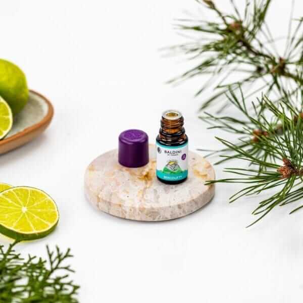 Baldini - Duftkomposition Bergduft® (TAOASIS) 1