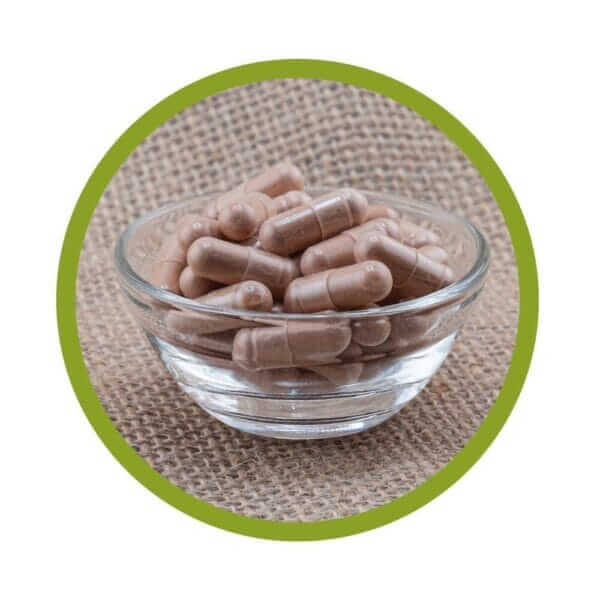 OPC Pycnogenol® + Vitamin C (vitalundfitmit100) 3