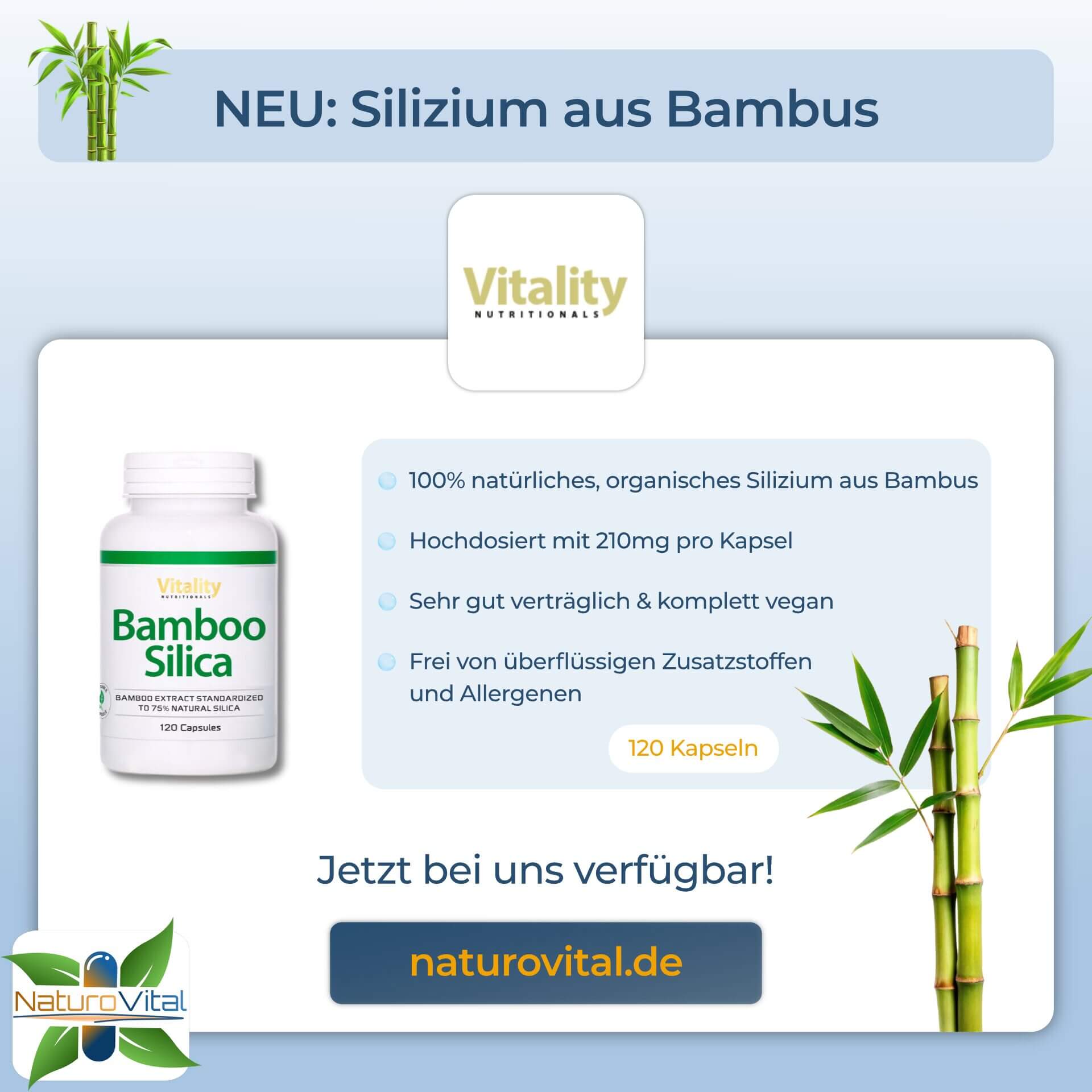 NEU - Silizium aus Bambus Kapseln bei NaturoVital