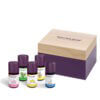 Aromaöle Starter-Set mit Box und 5 ätherischen Ölen nach Wahl