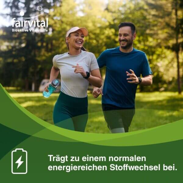 Ginseng mit Ginsenosiden + B5 (fairvital) 1