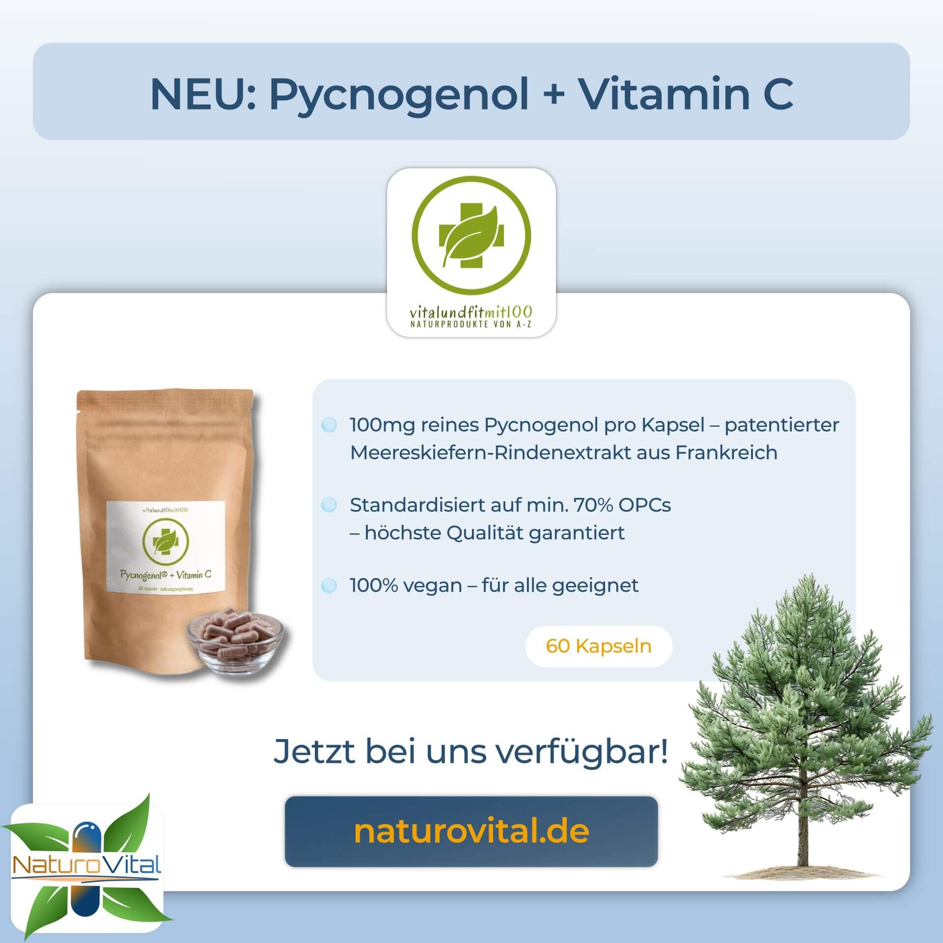 NEU - Pycnogenol Kapseln von vitalundfitmit100 bei NaturoVital