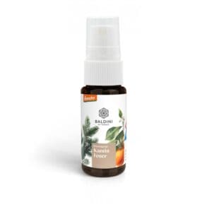 Baldini - Kaminfeuer Mini-Raumspray (TAOASIS)
