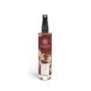 Baldini - Winter Moments Raumspray (TAOASIS)