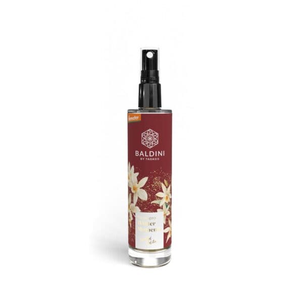 Baldini - Winter Moments Raumspray (TAOASIS)