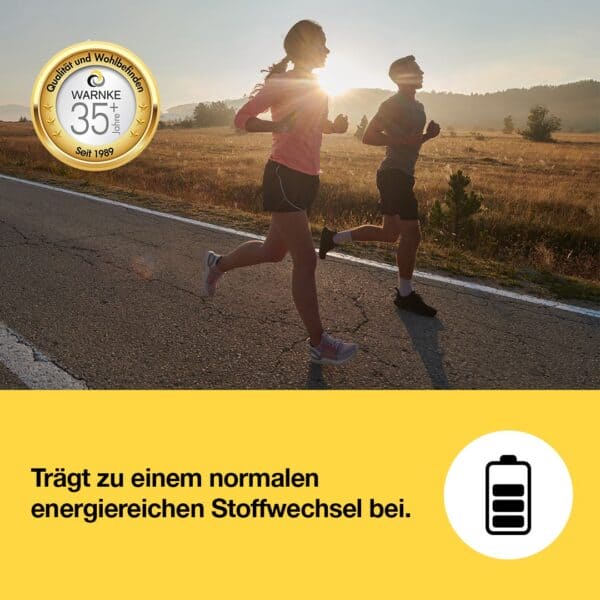 Kelp Tabletten mit 200μg Jod (Warnke) 2