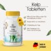 Kelp Tabletten mit 200μg Jod (Warnke) 3