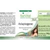 Adaptogene (fairvital) deutsch